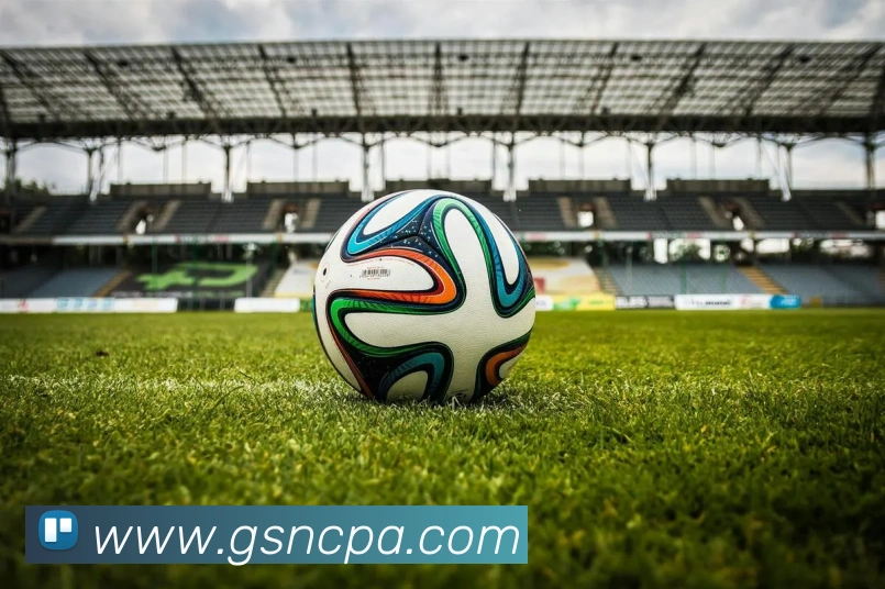 pa视讯平台生态图